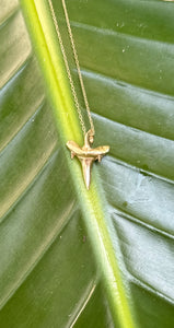 Boca Grande Pendant